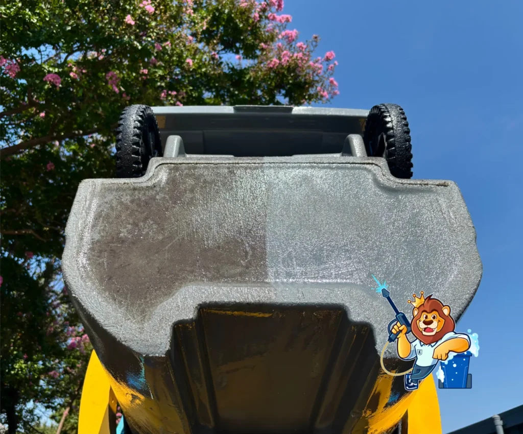 there-are-two-sides-to-every-bin