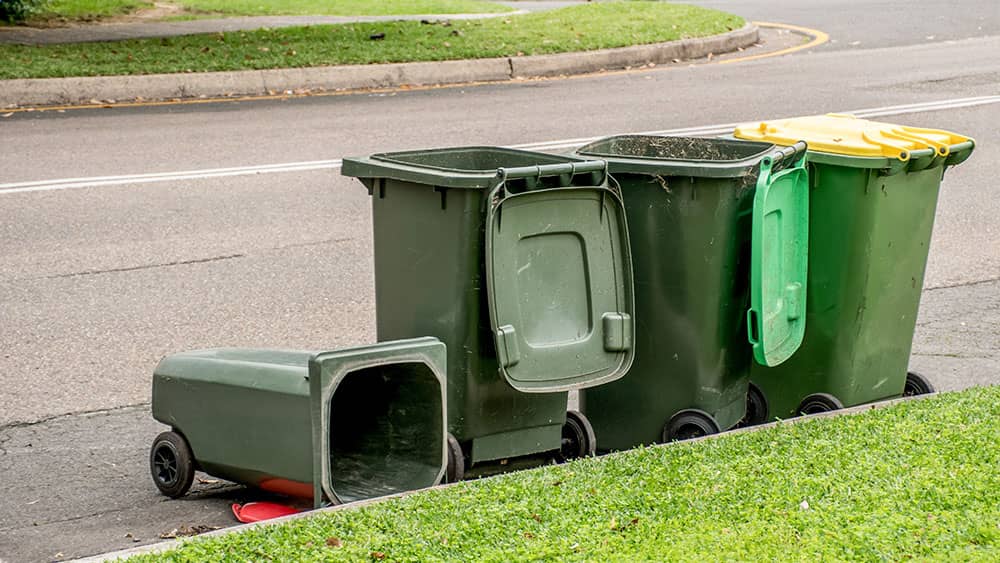 trash can cleaning Cross Roads TX garbage bin cleaning Cross Roads Texas residential trash bin cleaning Cross Roads trash bin sanitizing service Cross Roads TX pressure washing trash cans Cross Roads odor removal garbage bins Cross Roads